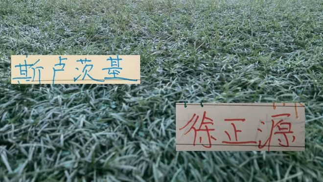 【哈尔滨新闻】聚焦“东北超”