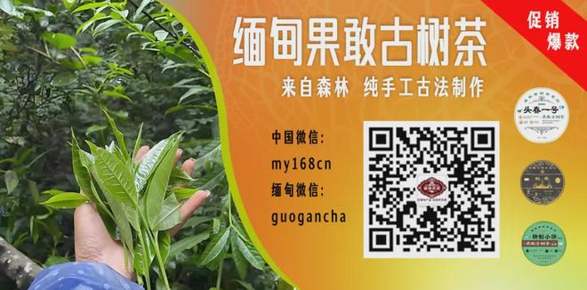 宫鲁鸣谈中国女篮：这支队伍的更高目标是2028年奥运会