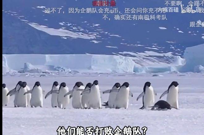 六选手自21世纪以来首次征战法网，便跻身八强