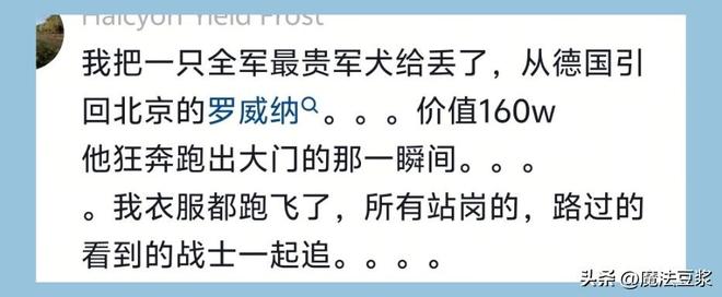 邮报:英格兰名宿斯泰尔斯死因将全面调查,疑与头球有关