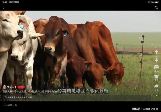 正在休假，皇马中场贝林厄姆现身伯明翰看巴萨季前赛