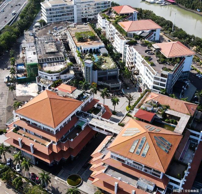 奥运冠军魏秋月出任天津市排球运动管理中心副主任