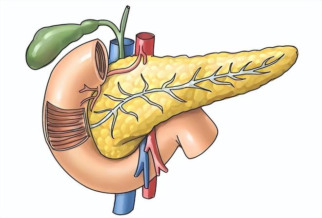 刘浩存方发布律师声明：韩**在直播过程中散播了针对委托人的不实内容，产生恶劣的负面影响；此前韩沛颖为“在直播中疑爆刘浩存的瓜”致歉