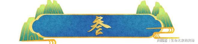 布局七年，伊利“篮”不住的热爱